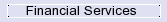    Financial Services
